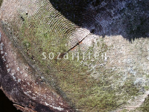 File:Sozaijiten16 166.jpg