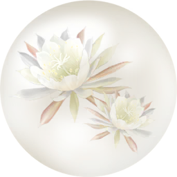 File:White orchid cactus nectar icon.png