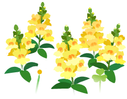 File:Yellow snapdragon flowers icon.png