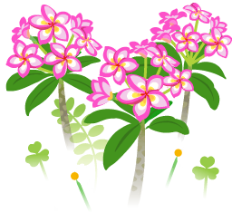File:Red frangipani flowers icon.png