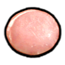 File:Meat of Champions P2S icon.png