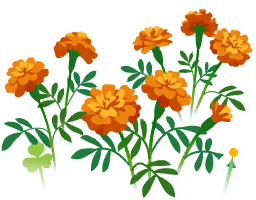 File:Red marigold flowers icon.png
