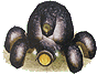 Armored cannon beetle.gif