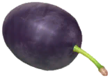 File:Plum icon.png