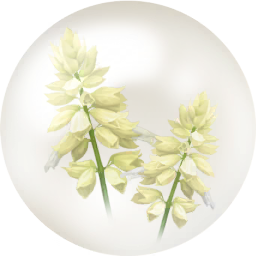 File:White salvia nectar icon.png