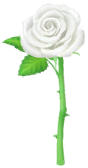 White rose Big Flower icon.png