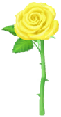 File:Yellow rose Big Flower icon.png