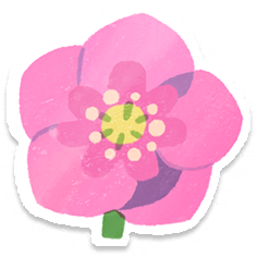 File:PB Lifelog Helleborus Red.png