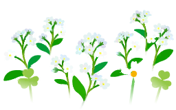 File:White forget-me-not flowers icon.png