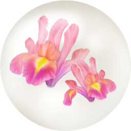 File:Red iris nectar icon.png