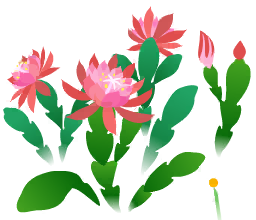 File:Red orchid cactus flowers icon.png