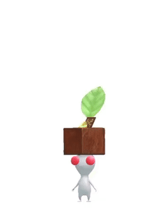 An animation of a White Pikmin with a Chocolate from Pikmin Bloom.