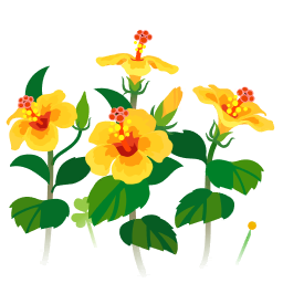 File:Yellow hibiscus flowers icon.png