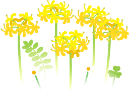File:Yellow spider lily flowers icon.png