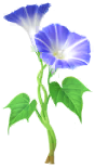 File:Blue morning glory Big Flower icon.png