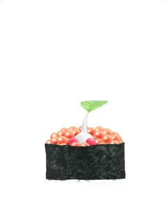 File:PB White Pikmin Sushi.gif