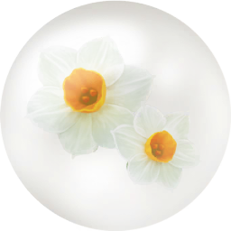 File:White daffodil nectar icon.png