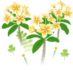File:Yellow frangipani flowers icon.png