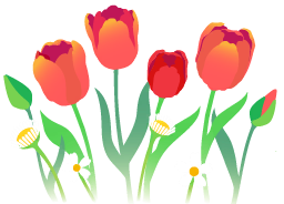 File:Red tulip flowers icon.png