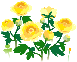 File:Yellow peony flowers icon.png