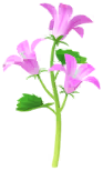 File:Red bellflower Big Flower icon.png