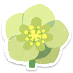 File:PB Lifelog Helleborus Yellow.png