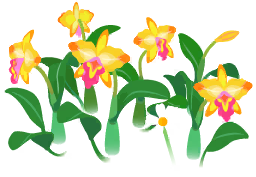 File:Yellow cattleya flowers icon.png