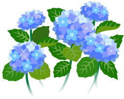 File:Blue hydrangea flowers icon.png