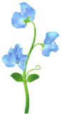 File:Blue sweet pea Big Flower icon.png