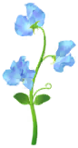 File:Blue sweet pea Big Flower icon.png