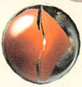 P2 Artwork Omniscient Sphere.png