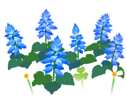 File:Blue salvia flowers icon.png