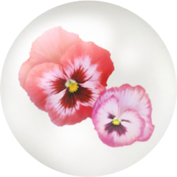 File:Red pansy nectar icon.png