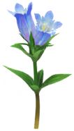 Blue gentian Big Flower icon.png