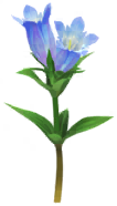 File:Blue gentian Big Flower icon.png
