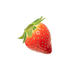 File:Sunseed Berry P4 icon.png