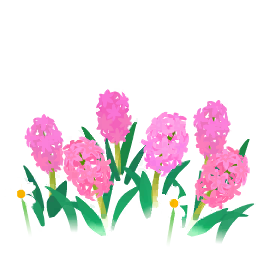 File:Red hyacinth flowers icon.png