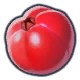 File:Ultra-Spicy Berry P4 icon.png