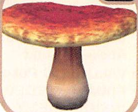 File:P2 Artwork Toxic Toadstool.png