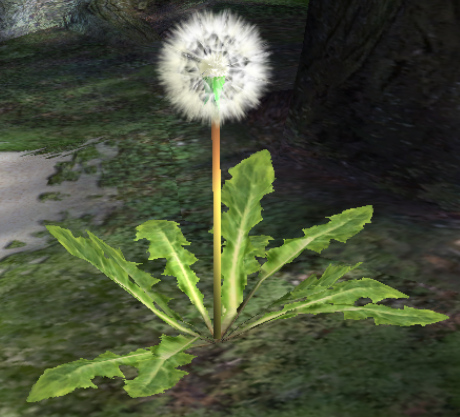 File:P2 Seeding Dandelion.jpg