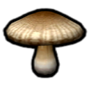 File:Anti-hiccup Fungus P2S icon.png