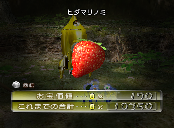 File:P2 Sunseed Berry JP Collected.png