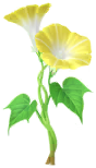 Yellow morning glory Big Flower icon.png