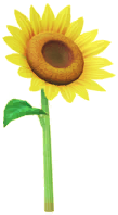 File:Yellow sunflower Big Flower icon.png