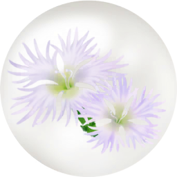 File:White dianthus nectar icon.png