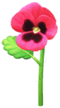 File:Red pansy Big Flower icon.png