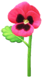 File:Red pansy Big Flower icon.png