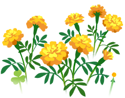 File:Yellow marigold flowers icon.png