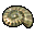 File:Olimarnite Shell icon.png