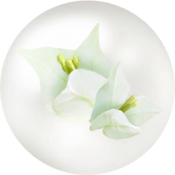 File:White bougainvillea nectar icon.png